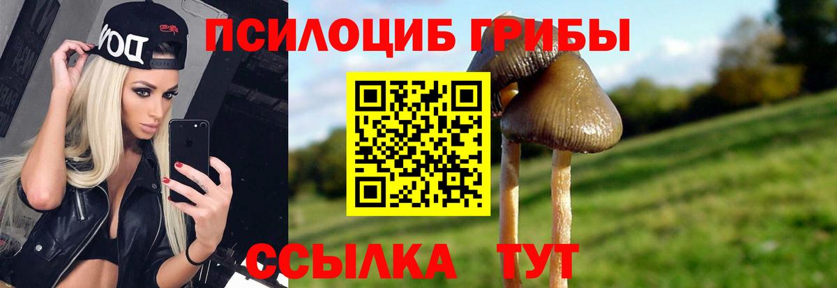 Галлюциногенные грибы ЛСД  Вход с VPN  Астрахань  Галлюциногенные грибы Cubensis 