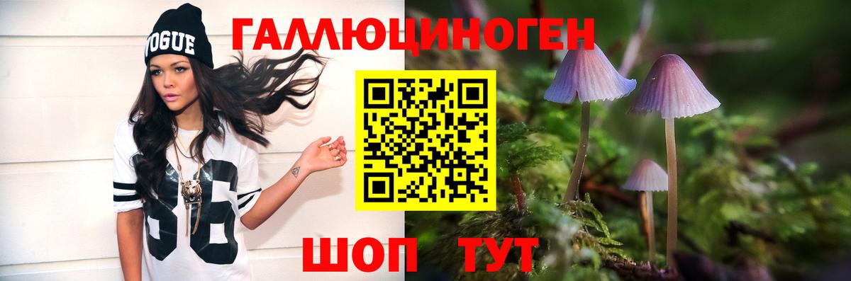 Галлюциногенные грибы Magic Shrooms Астрахань