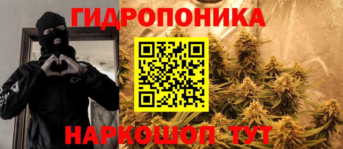 Шишки марихуана марихуана Астрахань